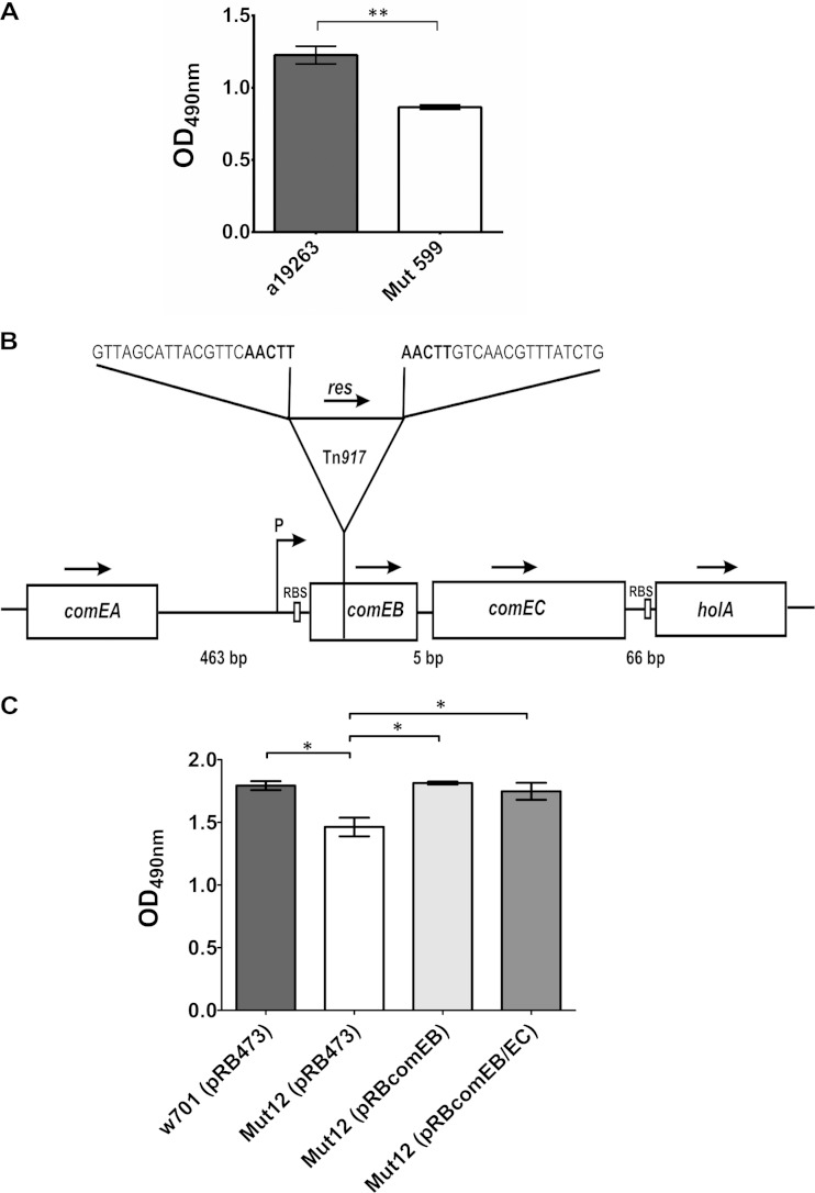 FIG 1