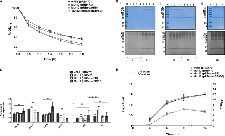 FIG 4