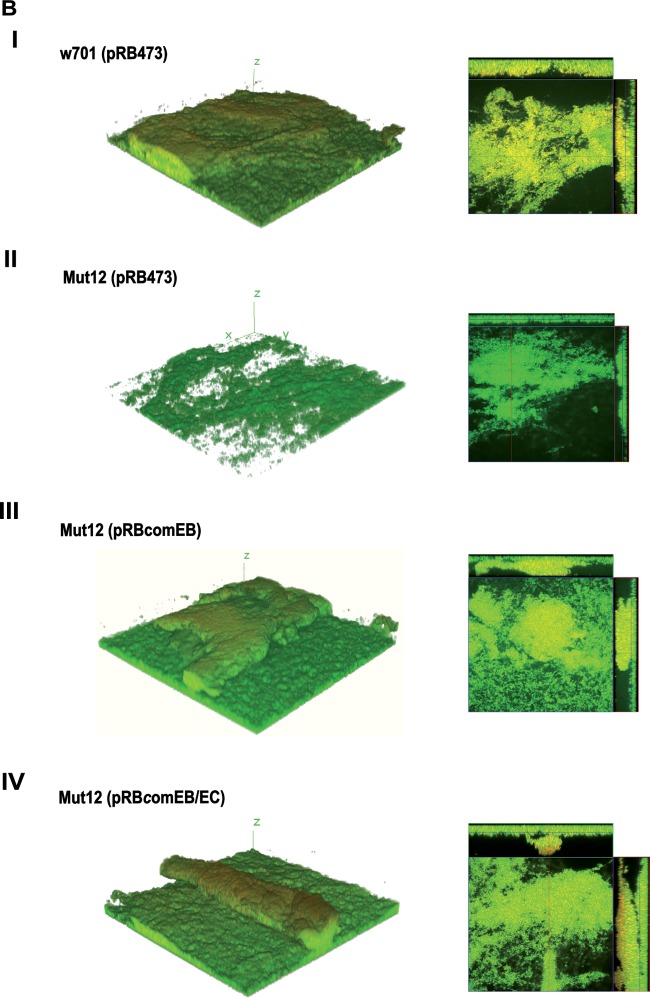 FIG 3