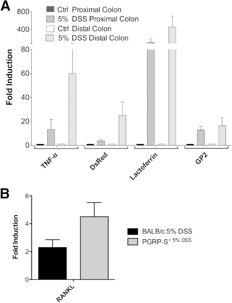 Figure 4