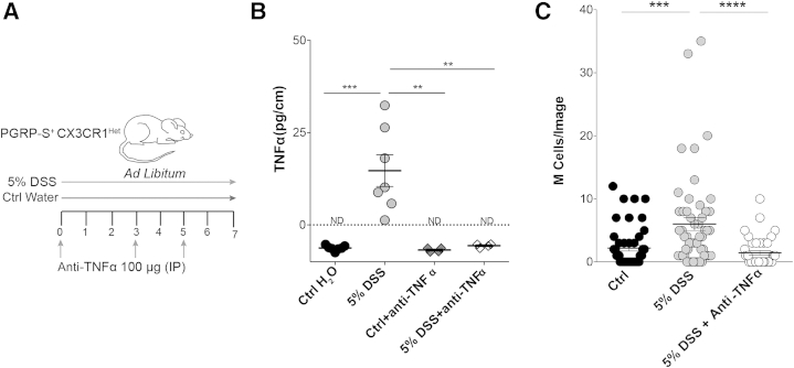 Figure 6