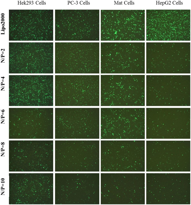 Fig 4