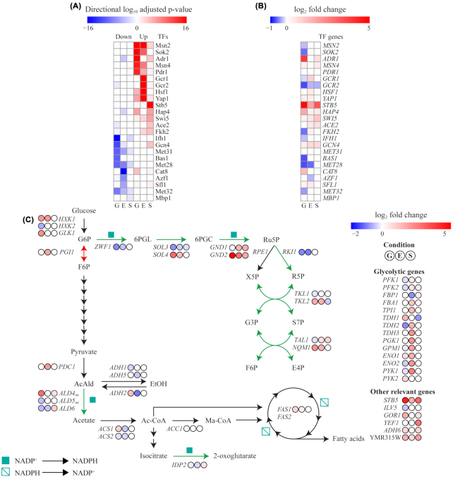 Figure 6.