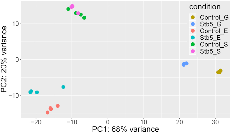 Figure 5.