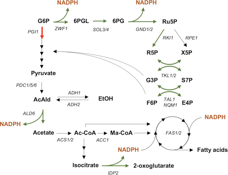 Figure 1.