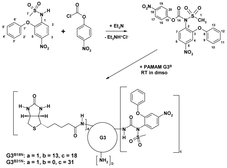 Scheme 1