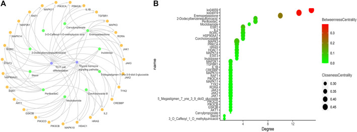 FIGURE 10