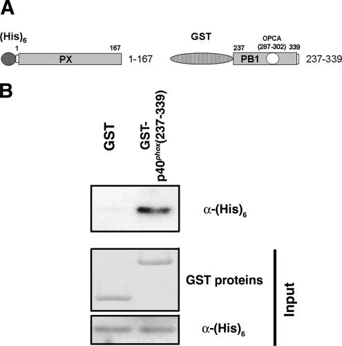 Figure 10.