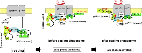 Figure 11.