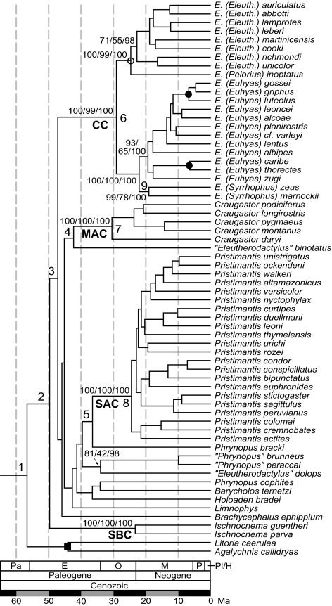 Fig. 3.