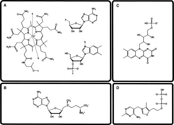 FIGURE 1.