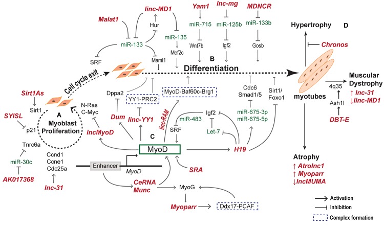 FIGURE 3