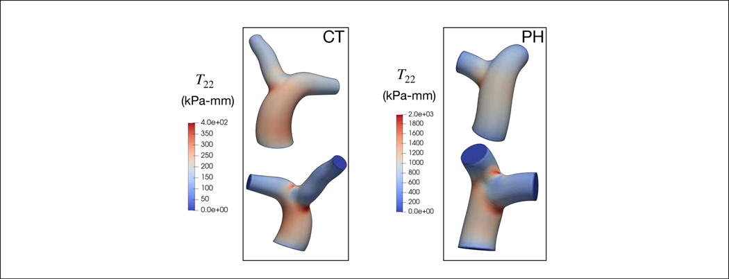 Figure 4: