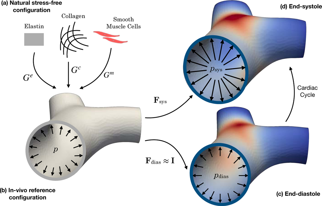 Figure 2: