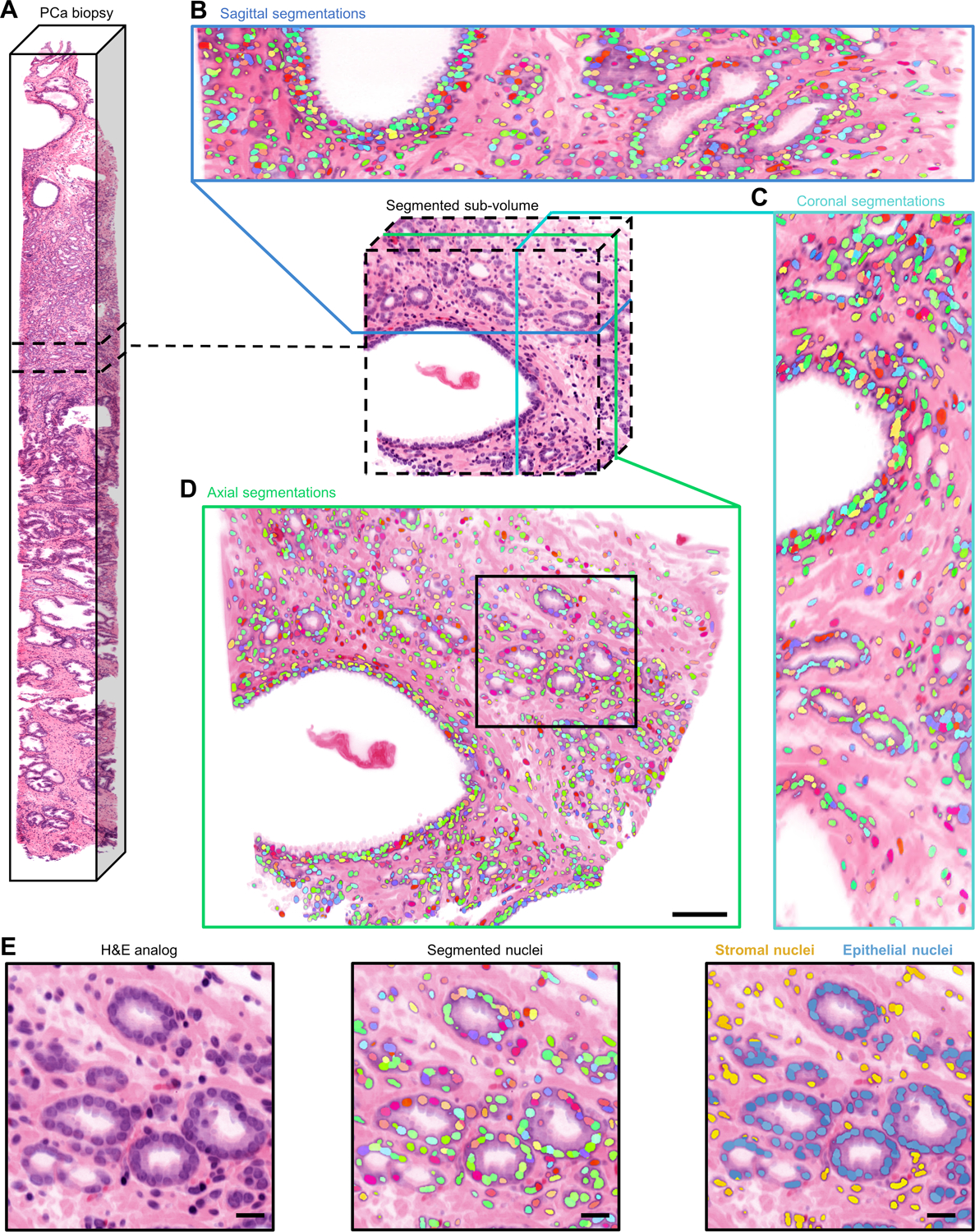 Figure 3.