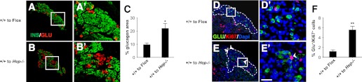 FIG. 7.