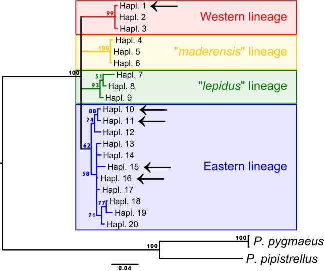 Fig 3