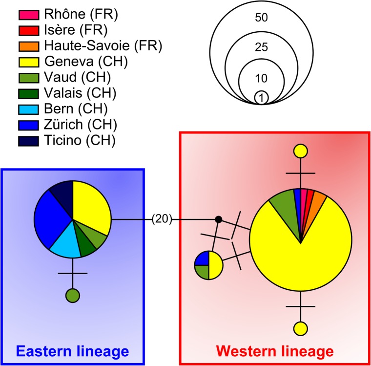 Fig 4