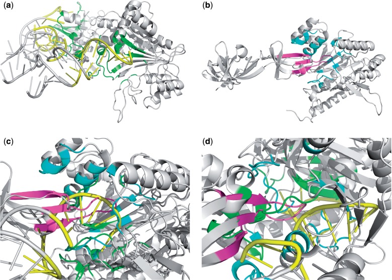 Fig. 8.