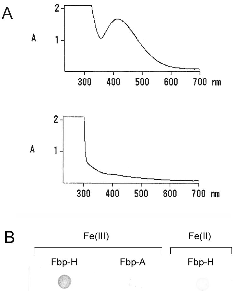 FIG. 6.