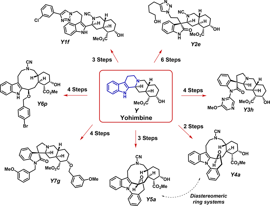 Figure 1.