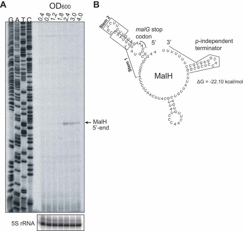 Figure 2.