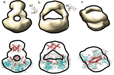 Figure 7.