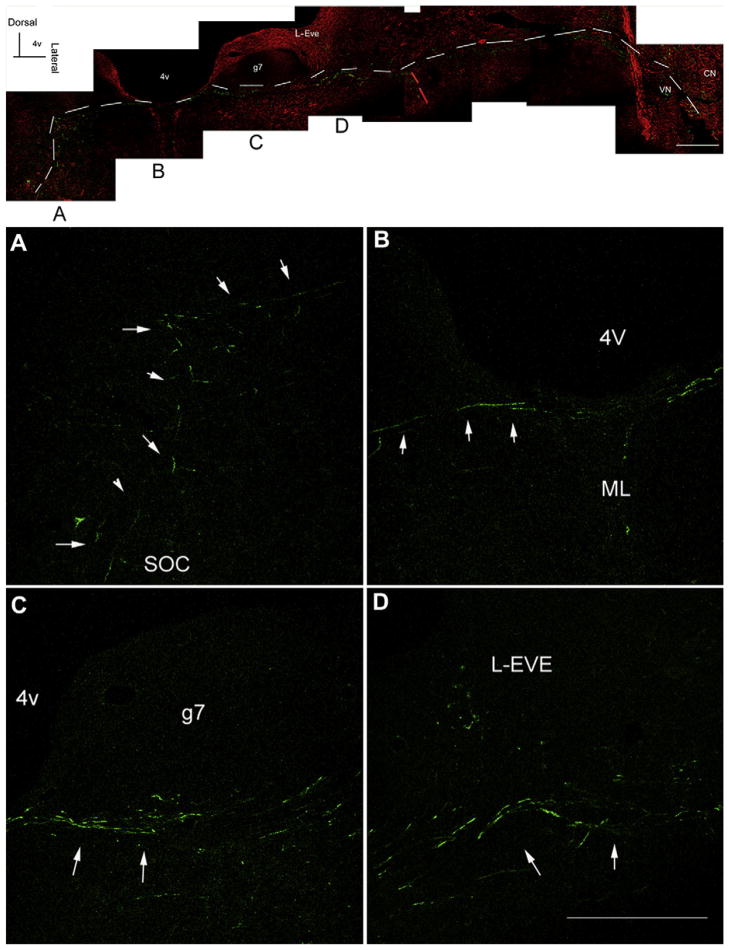 Fig. 9