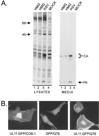 FIG. 6