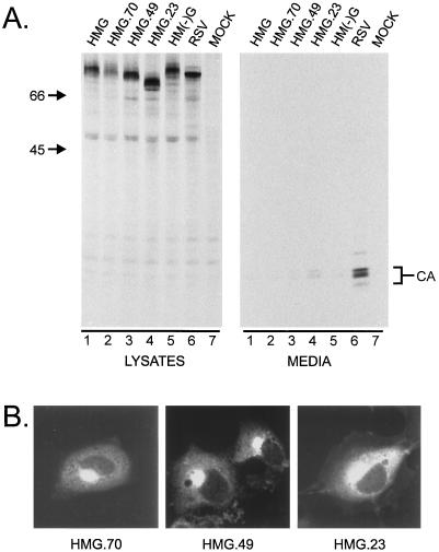 FIG. 5