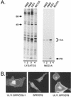 FIG. 6