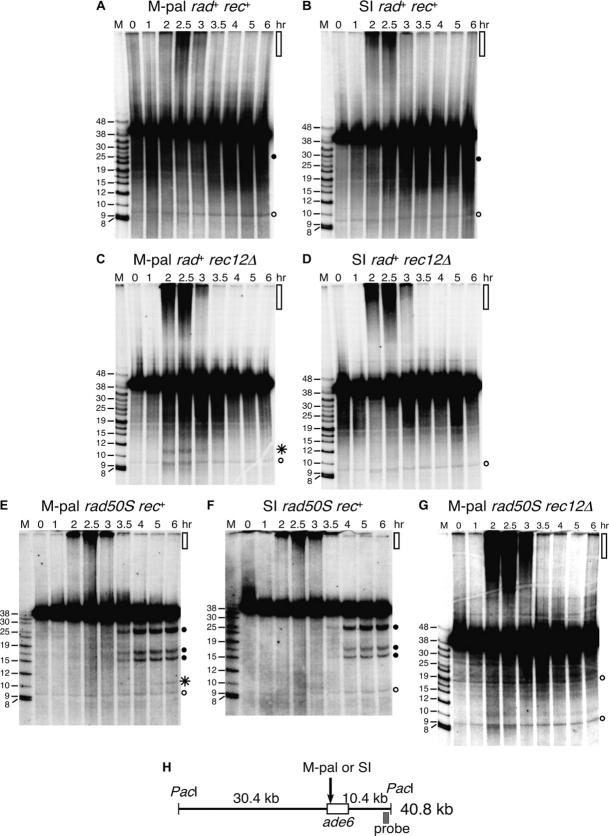 Figure 2.—