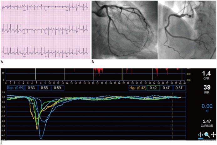 Fig. 7