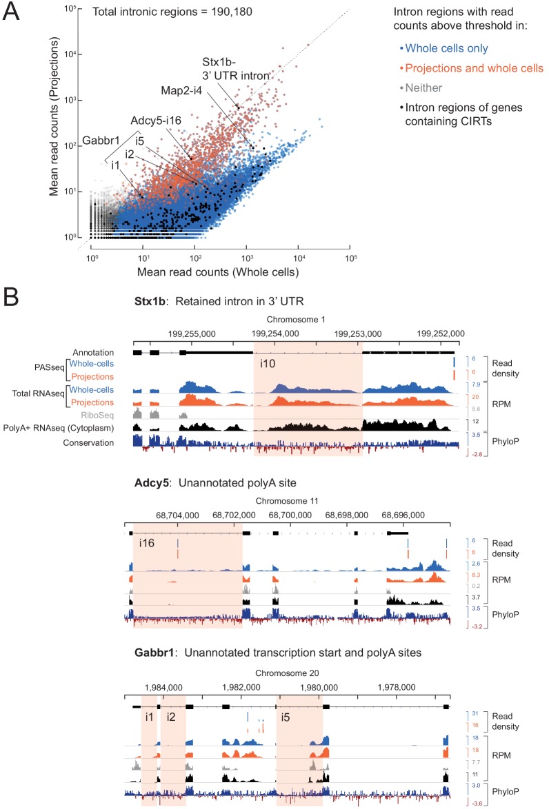 Figure 3—figure supplement 2.