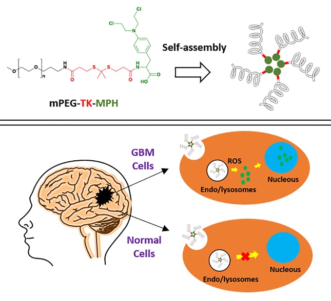 Graphical Abstract