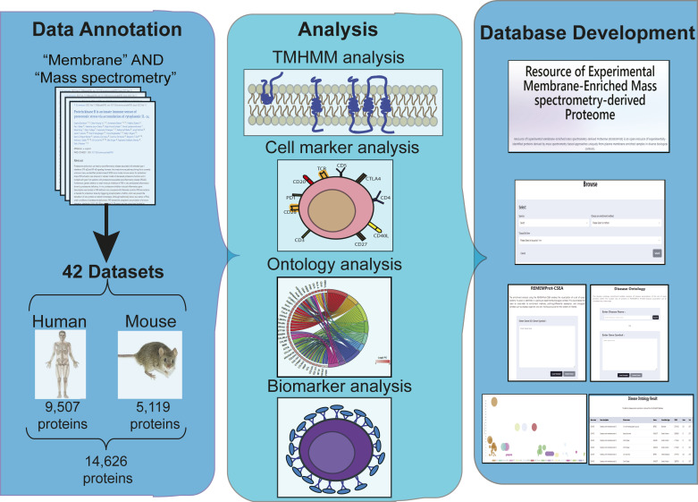 graphic file with name LSA-2023-02443_GA.jpg