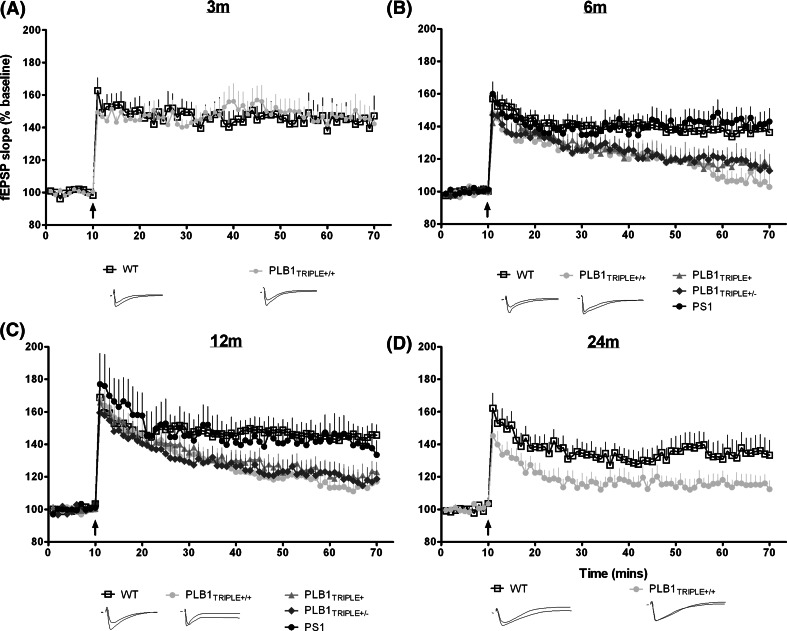 Fig. 8