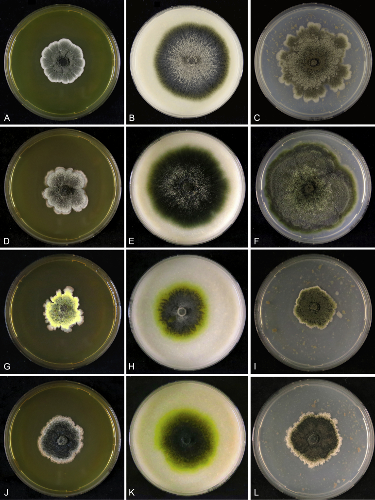 Fig. 2