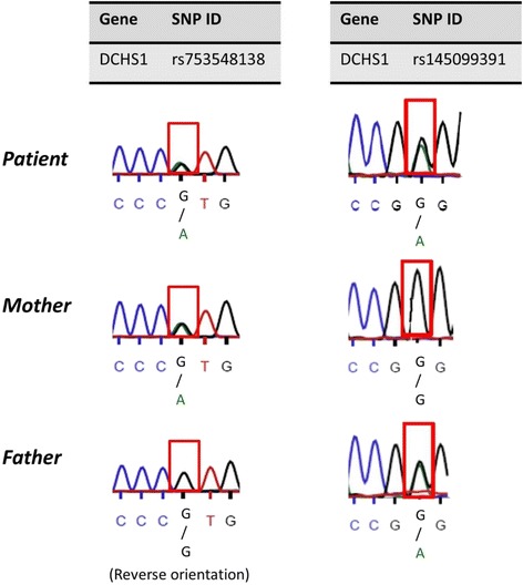 Fig. 3