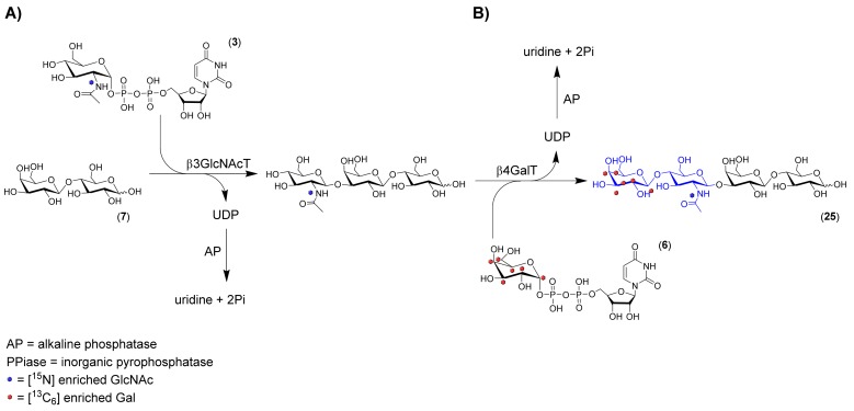 Scheme 3