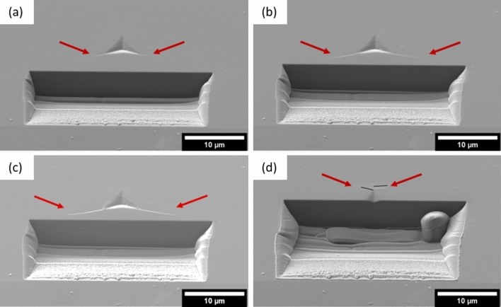 Fig. 7