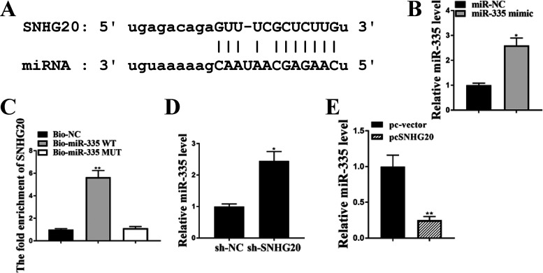 FIG 2