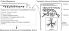 Fig 1.