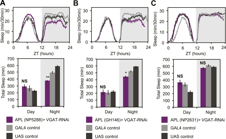 Figure 6—figure supplement 1.