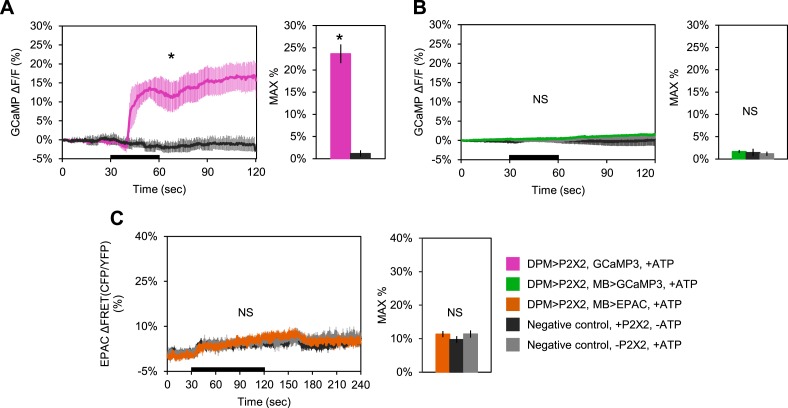 Figure 4—figure supplement 1.