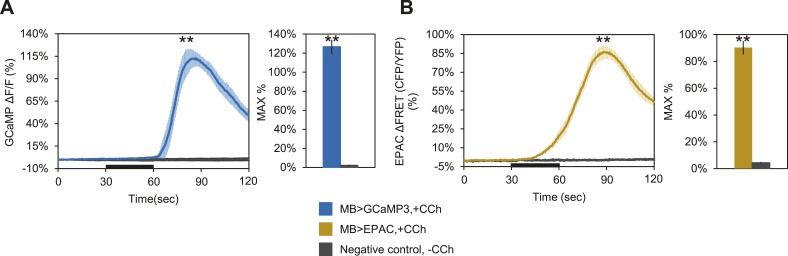 Figure 4—figure supplement 2.