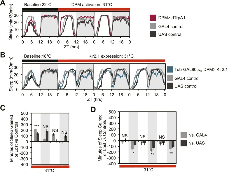 Figure 1—figure supplement 2.