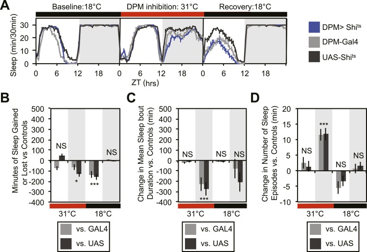 Figure 1—figure supplement 3.