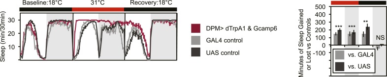 Figure 1—figure supplement 4.