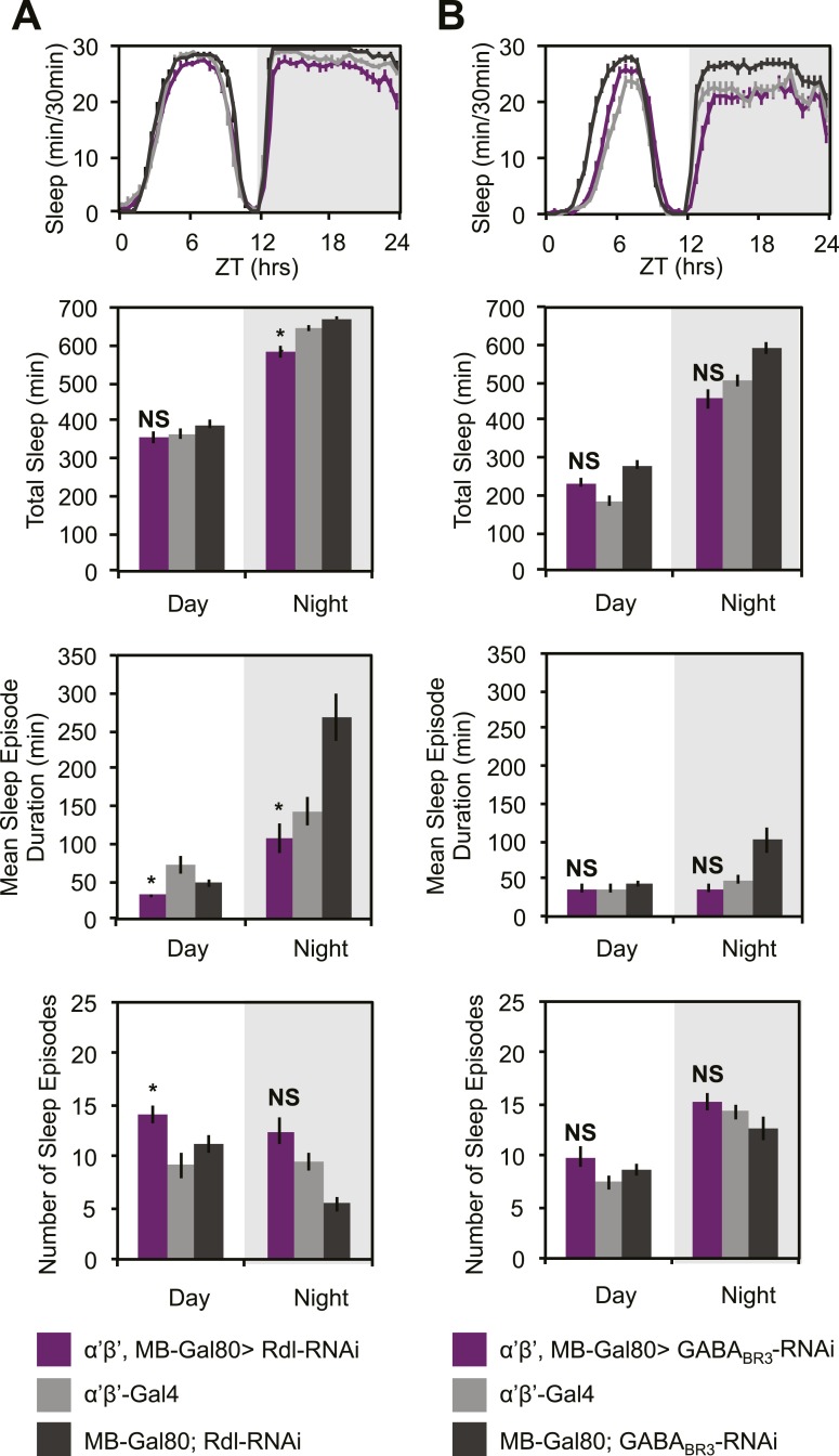 Figure 7—figure supplement 1.